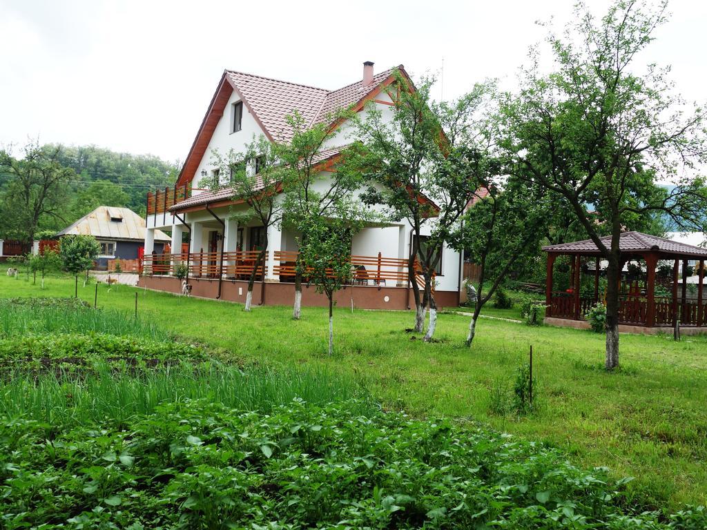Pensiunea Tania-Nora Alexandru cel Bun Bagian luar foto