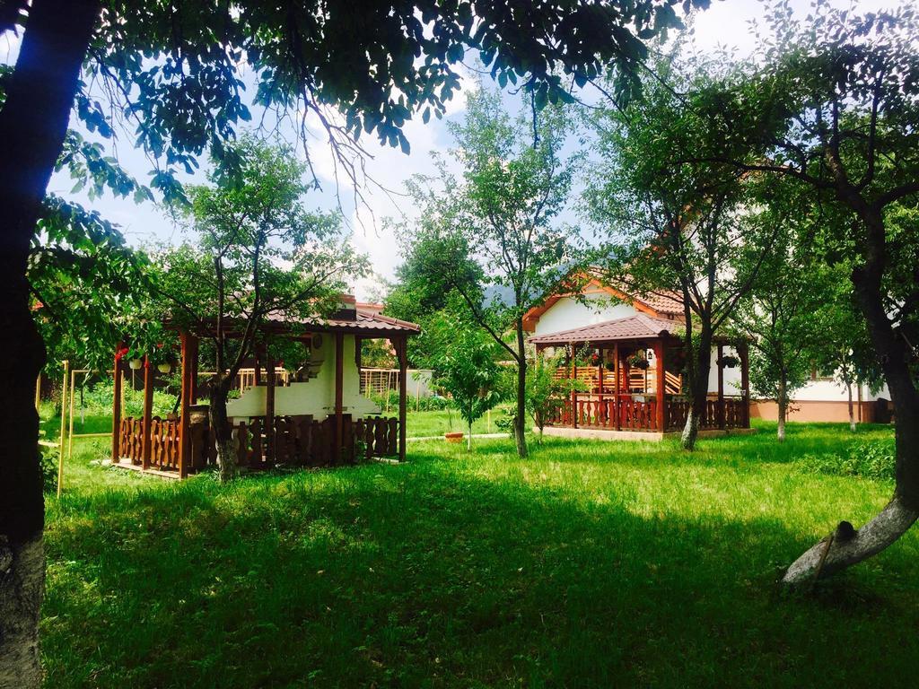 Pensiunea Tania-Nora Alexandru cel Bun Bagian luar foto